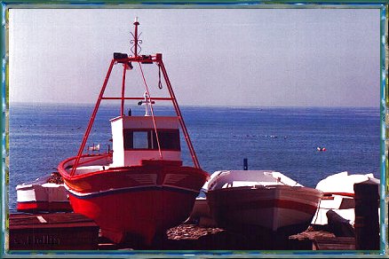 Unos barcos